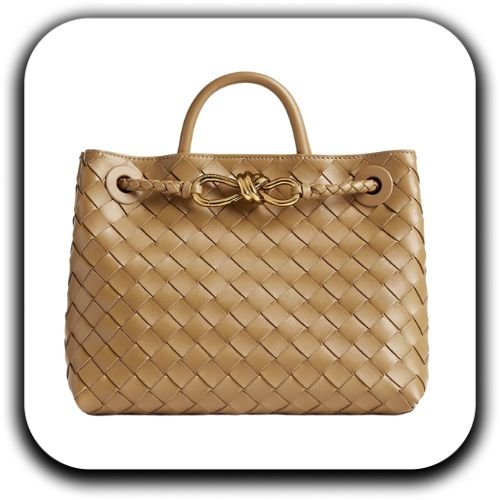 Buy Bottega Veneta Andiamo Ladies Bags - Luxury Dubai